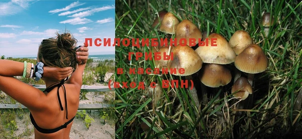 дживик Абаза