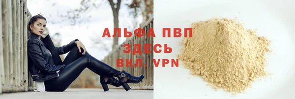 дживик Абаза