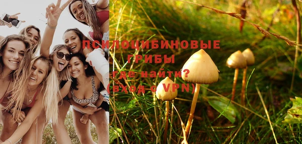 a pvp Алексеевка