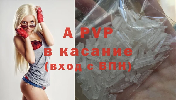 дживик Абаза