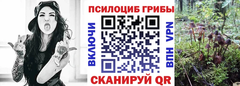 Псилоцибиновые грибы MAGIC MUSHROOMS  Омск 