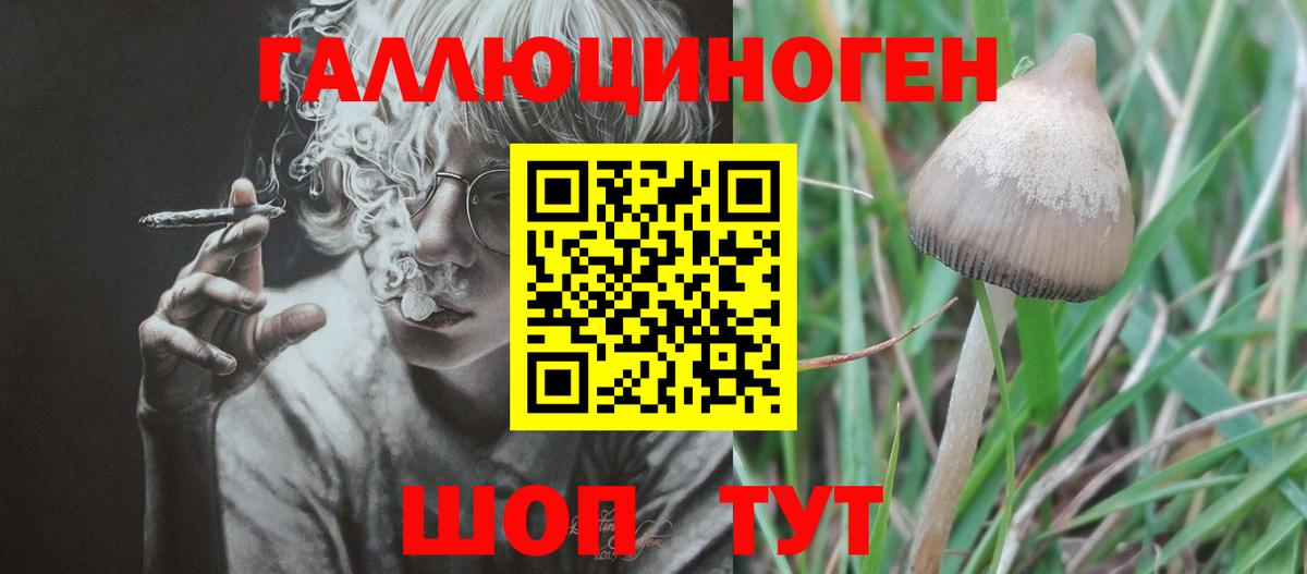 Галлюциногенные грибы GOLDEN TEACHER Омск